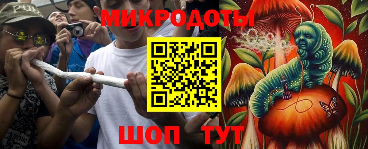 Псилоцибиновые грибы Cubensis Армавир